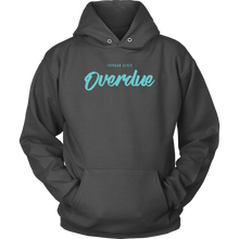 Load image into Gallery viewer, Overdue Hoodie
